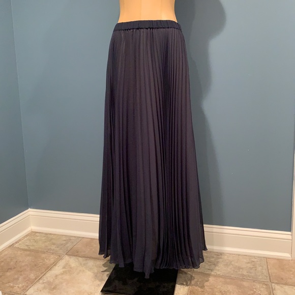 Anthropologie Dresses & Skirts - Anthropologie Fei Navy Pleated Maxi Skirt